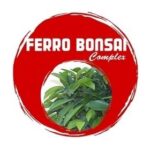 FERRO BONSAI COMPLEX