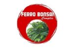 FERRO BONSAI COMPLEX