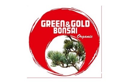 GREEN & GOLD BONSAI ORGANIC