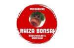 RHIZA BONSAI