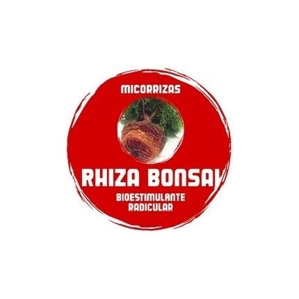 RHIZA BONSAI