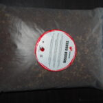 TERRA-BONSAI FOLHOSAS- XL -7,5 LITROS