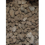Kit´s para Transplante - Image 5