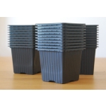 Vaso Treino para Estacas Conjunto 10 Unidades - Image 4