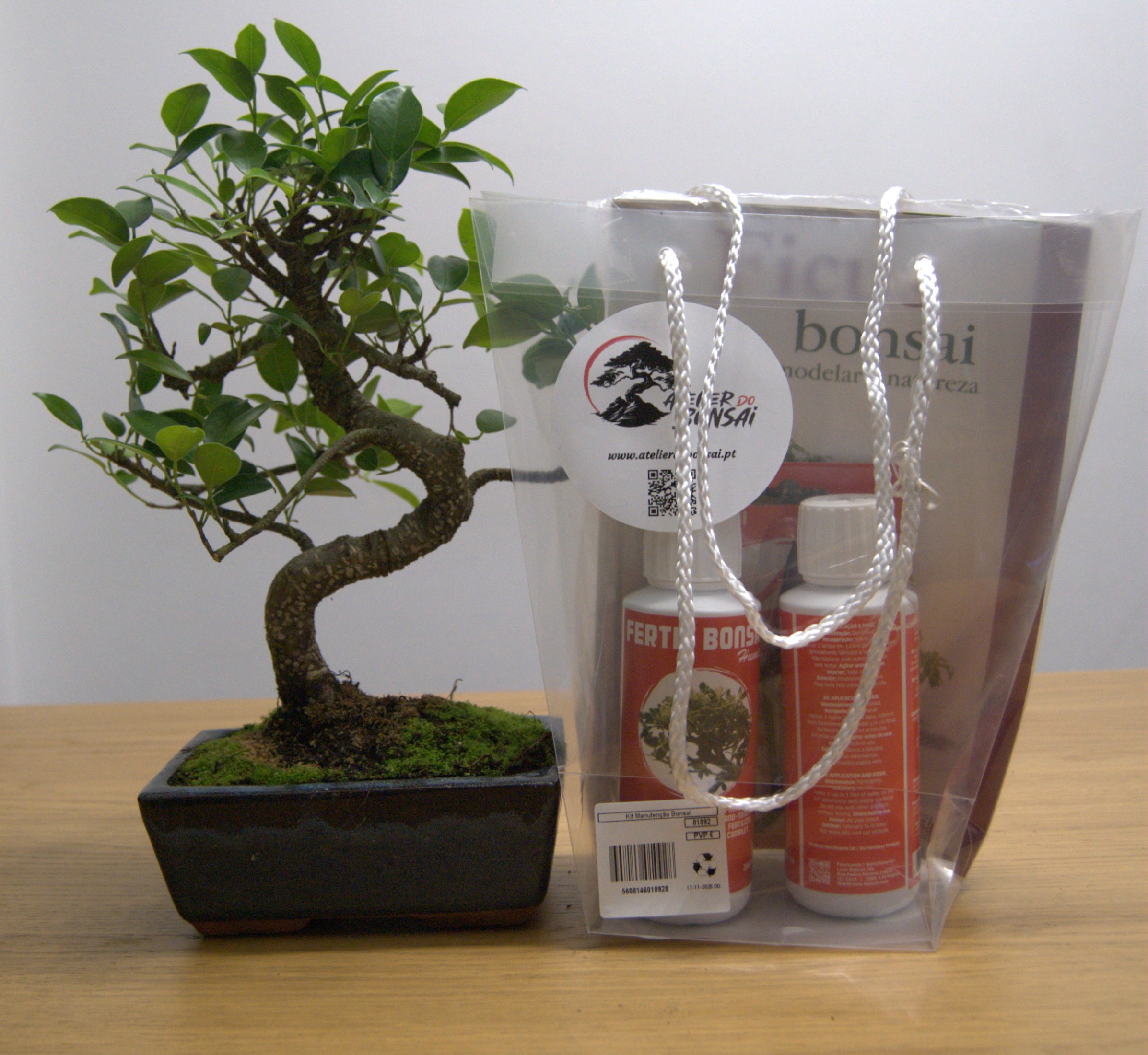DSC_0020 Kit de Iniciação ao Bonsai - Image 1