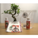 Kit Especial Dia da Mãe - Image 2